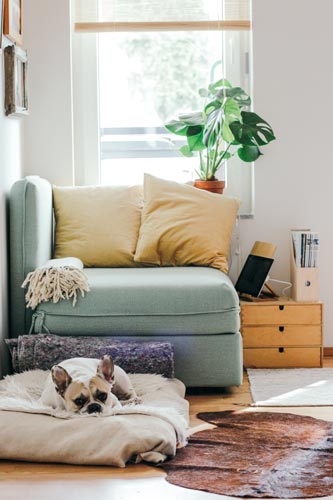 7 Tips to Making Moving Easier